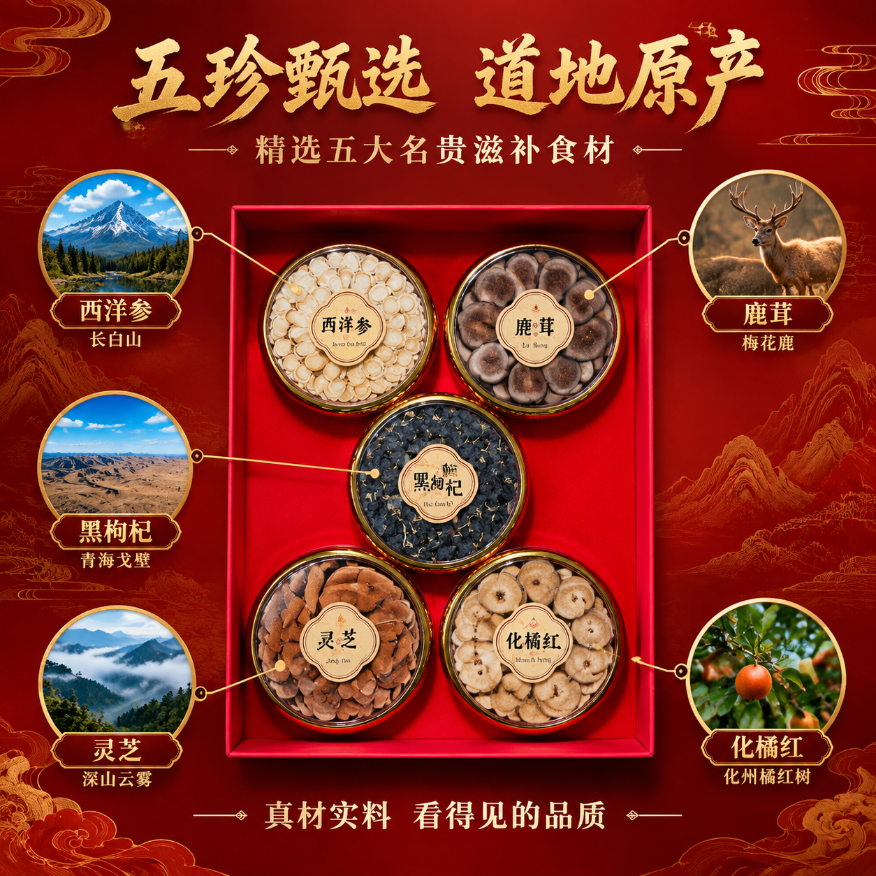 [主图-2] 核心亮点与溯源，主题：五珍甄选 真材实料 道地原… - 图片创意预览