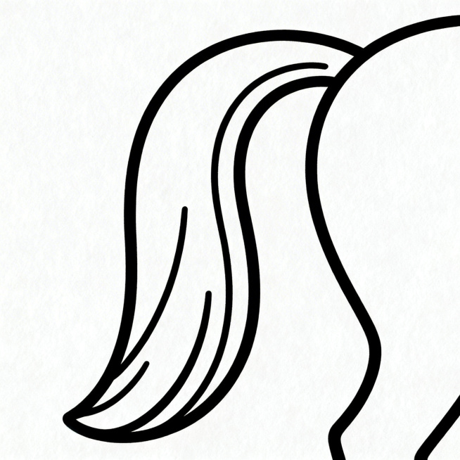 绘制一幅马的尾巴简笔画，线条简洁流畅，风格简约概括预览效果