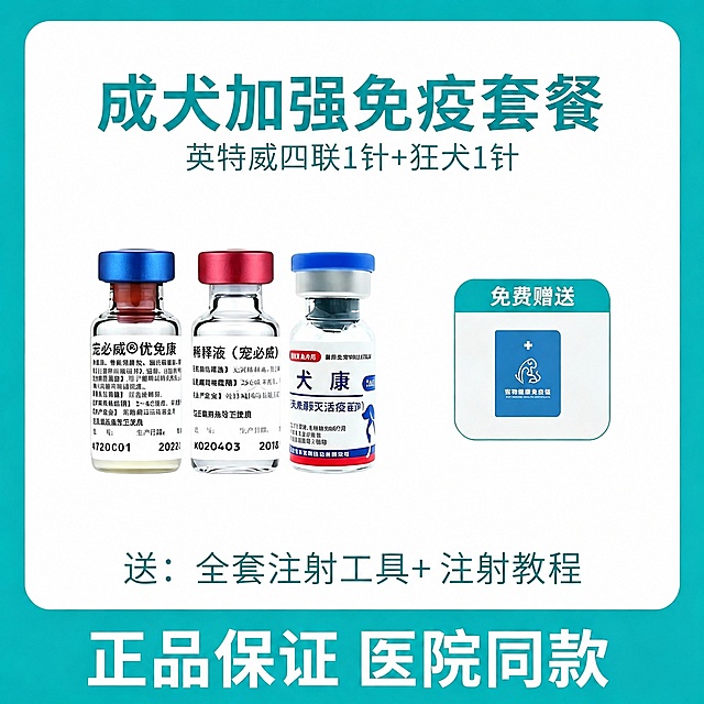 去除图片右下角的“豆包AI生成”水印，保持原图内容、颜色、构图和文字不变