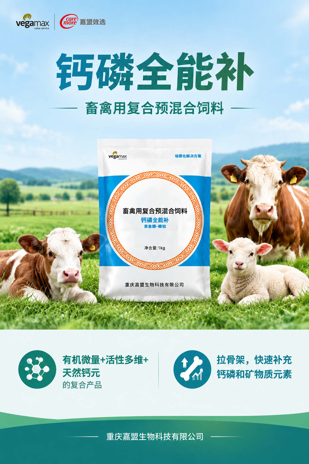 重新设计钙磷全能补首页海报，风格精简大气，改善排版拥挤问题。… - 图片创意预览