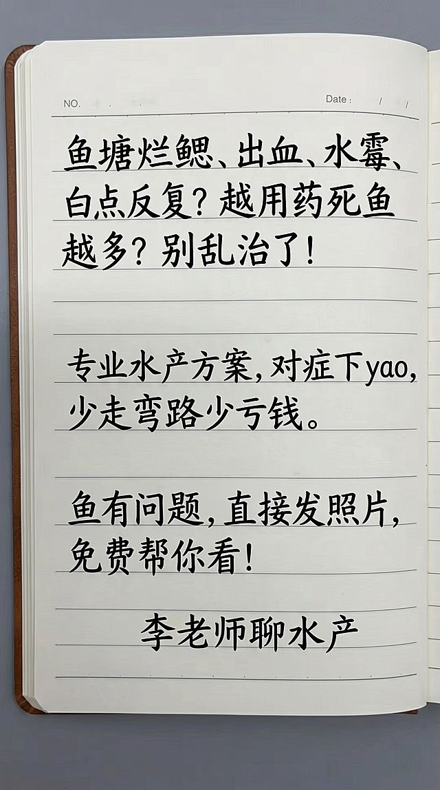 参照原图的手写字体风格和黑色文字颜色，用新内容替换原有文字，排版布局和原图保持一致，一字不差保留新内容：鱼塘烂鳃、出血、水霉、白点反复？越用药死鱼越多？别乱治了！专业水产方案，对症下yao，少走弯路少亏钱。鱼有问题，直接发照片，免费帮你看！李老师聊水产