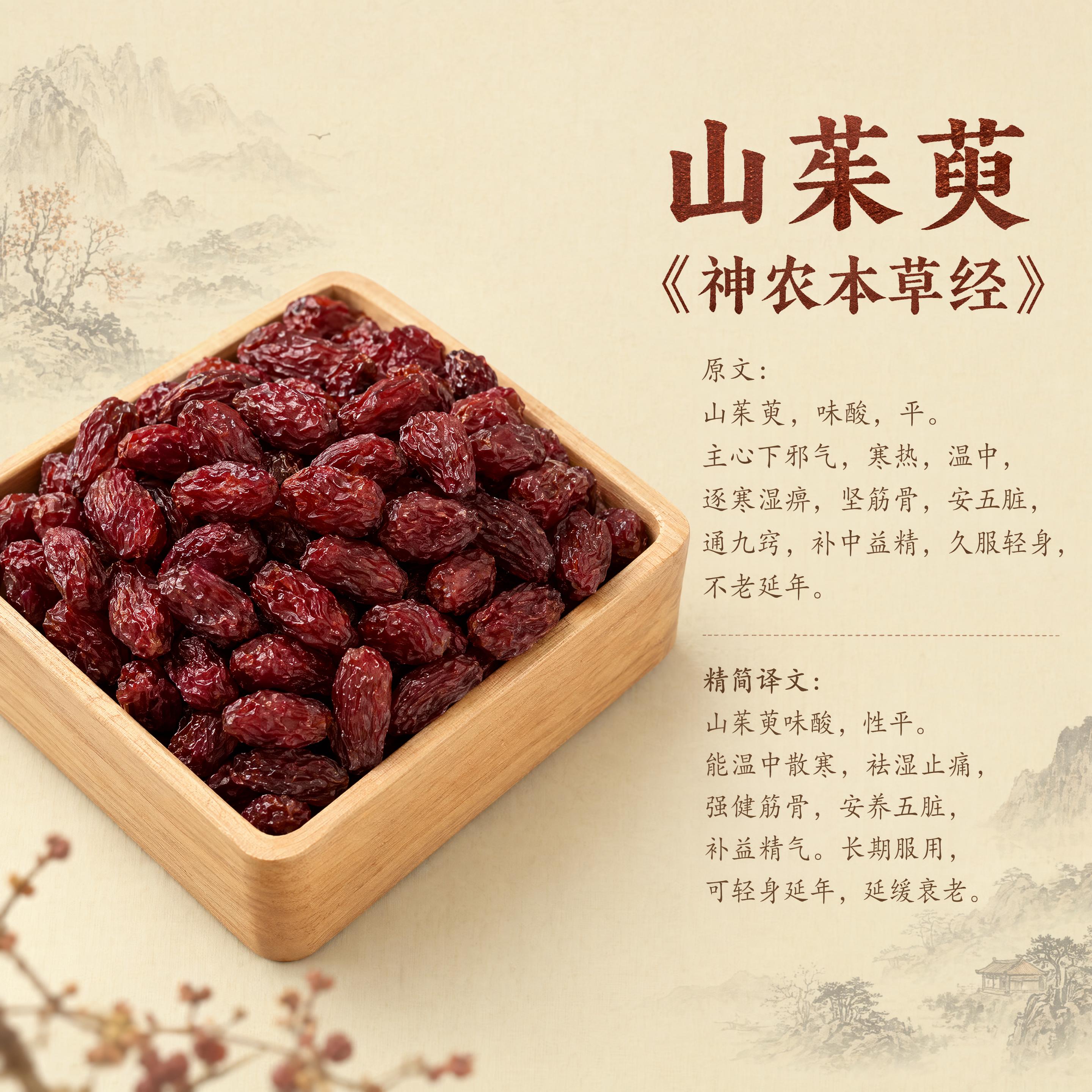 [主图-3] 山茱萸单品典籍介绍主图。[氛围风格] 中式复古国… - 图片创意预览