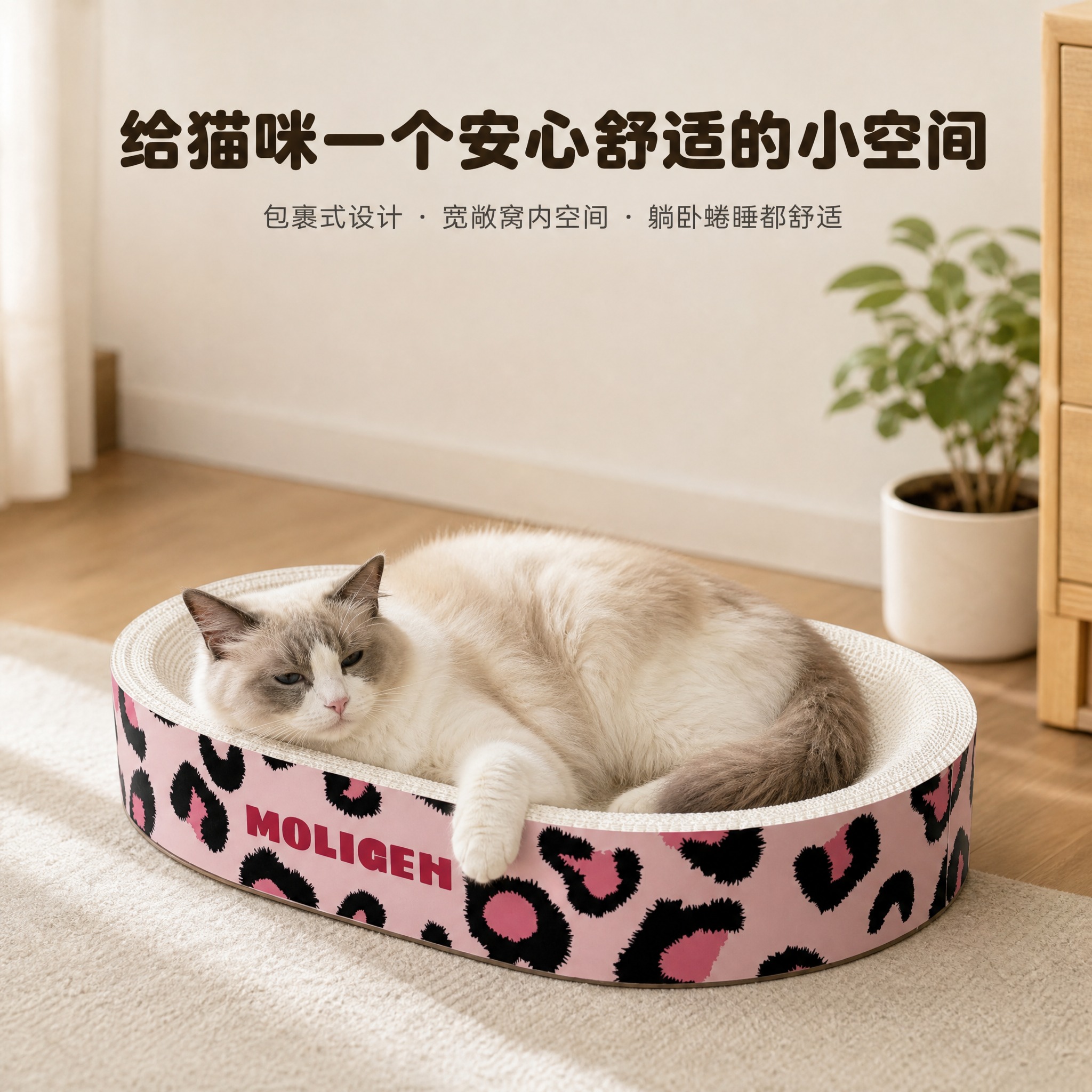 [主图-3] 猫咪真实使用场景，营造舒适安心的使用联想，让采购… - 图片创意预览