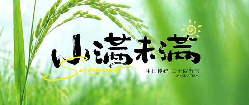 小满节气祝福通用清新感稻田实景公众号首图