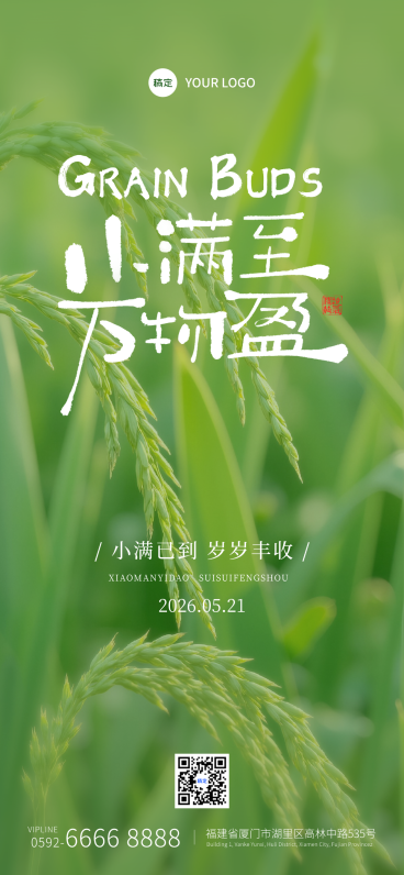 小满通用清新实景节气祝福全屏竖版海报预览效果