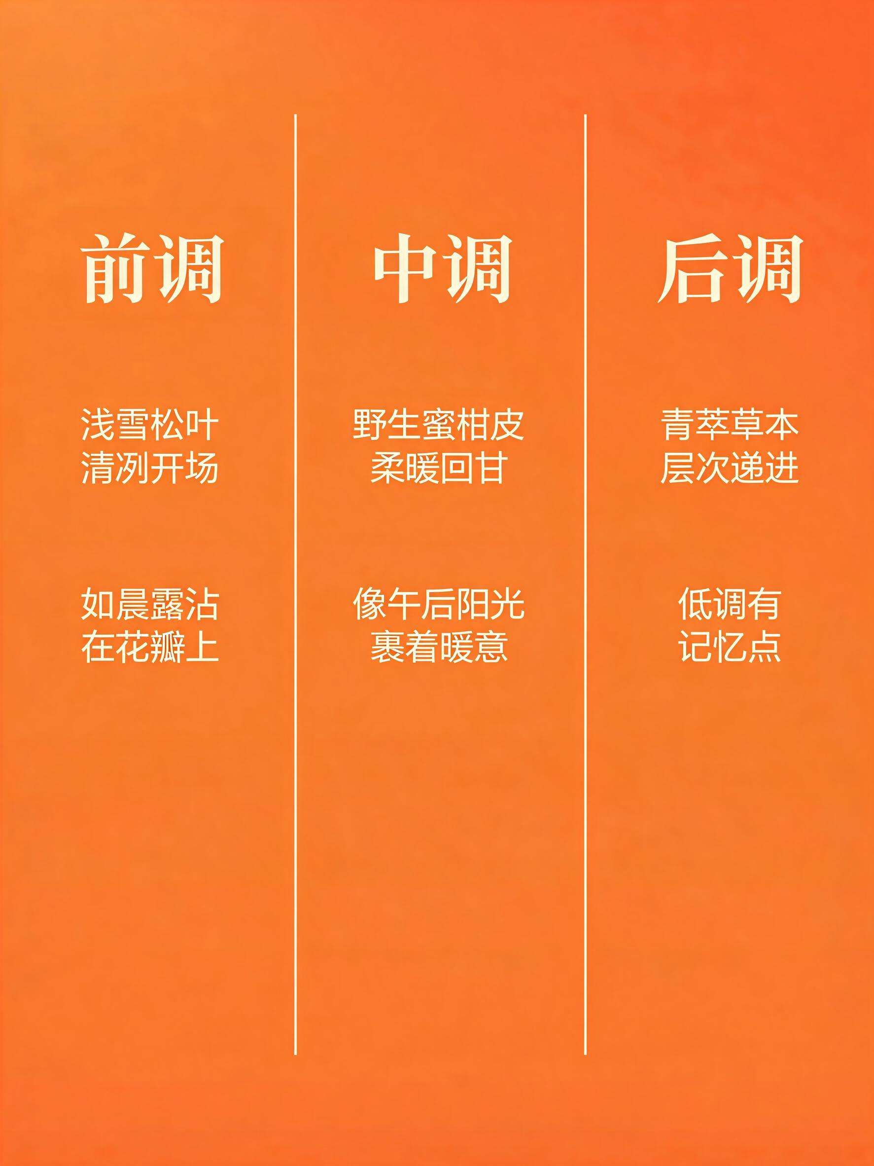 [画面] 目标：全屏暖橘橙色块，三栏香调文字解析。构图：平面满… - 图片创意预览