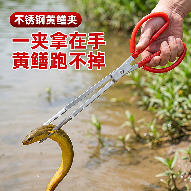 [主图3] 黄鳝夹使用场景主图 展示手持夹取黄鳝的效果  [氛围风格] 实用户外工具风 真实使用场景感  [画质] 商业产品摄影质感 光线明亮自然 产品清晰真实 画面干净自然  [元素] 一只手握着红色手柄的黄鳝夹 稳稳夹住一条鲜活黄鳝 背景是浅景深的户外水边环境 水面柔和虚化 点缀少量岸边绿植 保持黄鳝夹的不锈钢材质 红色手柄外观与输入产品图完全一致 商品主体占比70%左右 画面满屏无边框  [光影] 自然日间柔光 主光从侧前方打来 照亮夹身金属光泽和手柄红色质感 水面反射的环境光补充暗部细节 整体光感自然舒适  [配色] 主色调不锈钢银+手柄正红 背景水色浅棕+绿植浅绿 配色醒目接地气  [视角构图] 平视视角 景深中等 焦点落在黄鳝夹和被夹住的黄鳝上 背景虚化突出主体  [文字版式] 左上区域放置红底白字的圆角标题块 标题文字为"不锈钢黄鳝夹" 下方两行醒目粗体文案 大字主文案为"一夹拿在手" 红色粗体无衬线字体 下方辅助文案为"黄鳝跑不掉" 同字号同色 文字放置在背景留白区域 完全不遮挡产品主体  [比例分辨率] 1:1正方形比例 2K分辨率 文字清晰锐利 画面超高清  [负向提示词] 产品变形 水印 文字错乱 画面模糊 背景杂乱 黄鳝形态怪异