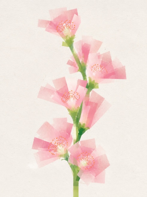 将图中淡粉色花瓣的花卉转绘成极简主义平面几何插画风格，强调重质感、花瓣几何感，颗粒感纸张丝网印刷效果。核心主体为抽象几何渐变的淡粉色花卉，由重叠、半透明、具颗粒纹理的矩形和几何色块构成，花瓣块呈现微妙预览效果