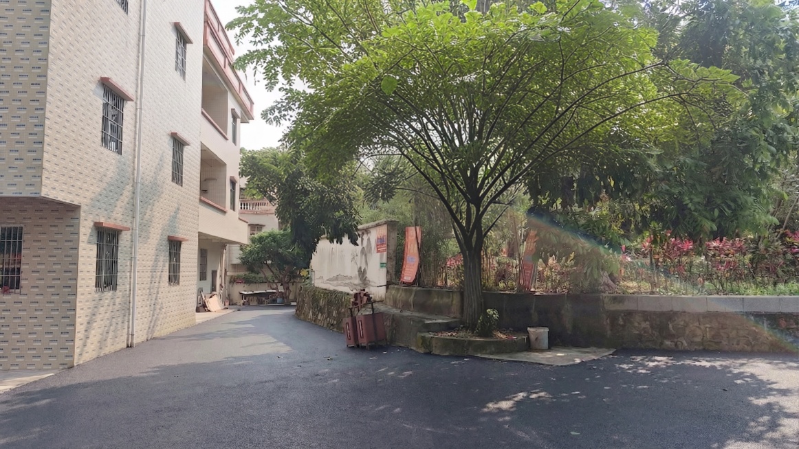 取消树木预览效果