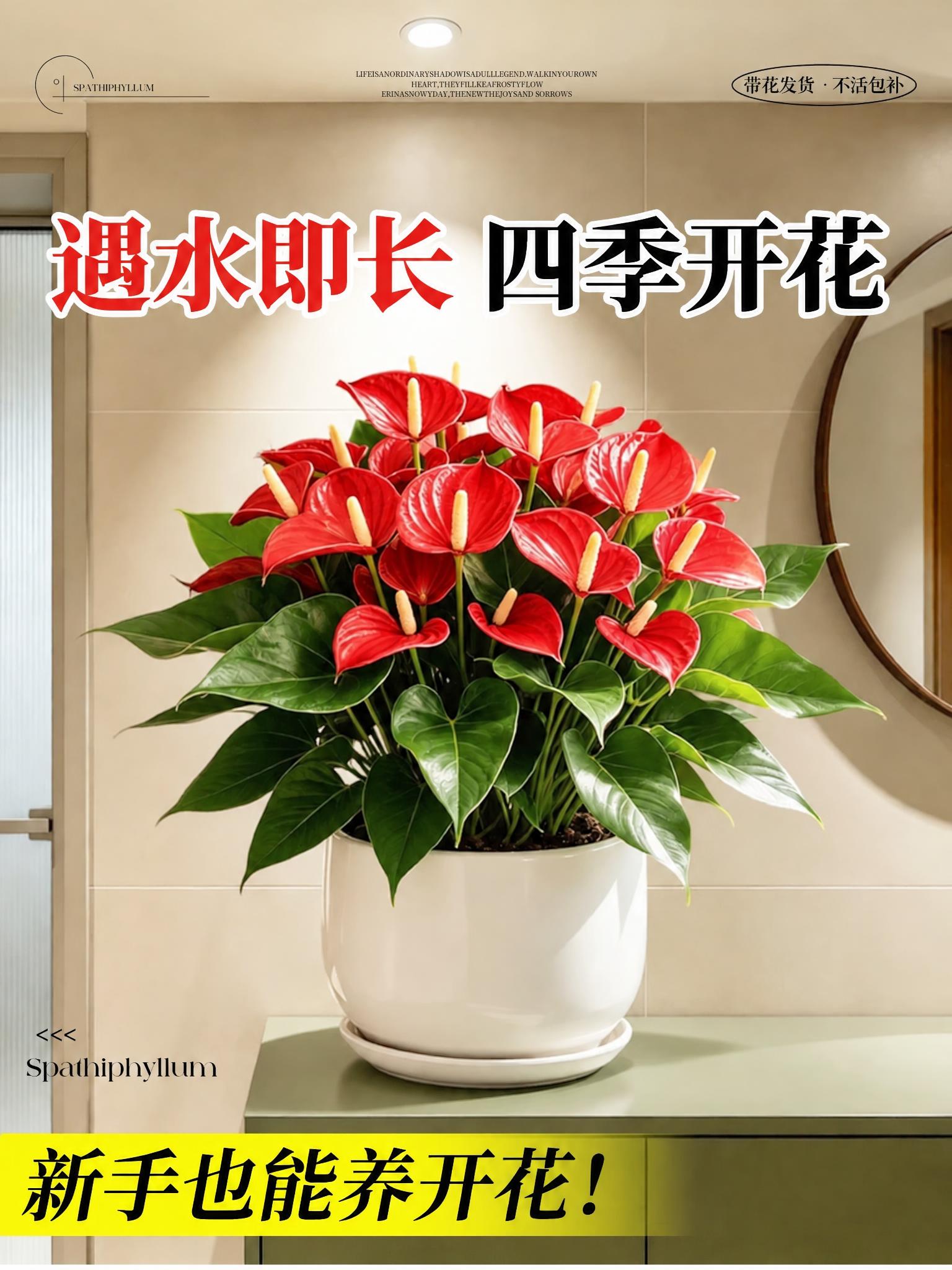 将图片中所有紫色元素（包括紫色花朵、紫色文字、紫色背景块、紫色… - 图片创意预览