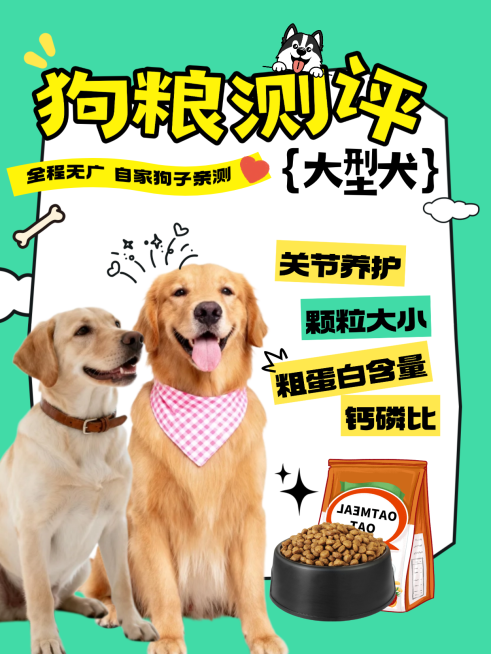 狗粮测评萌宠粮描边卡通趣味元素小红书封面预览效果