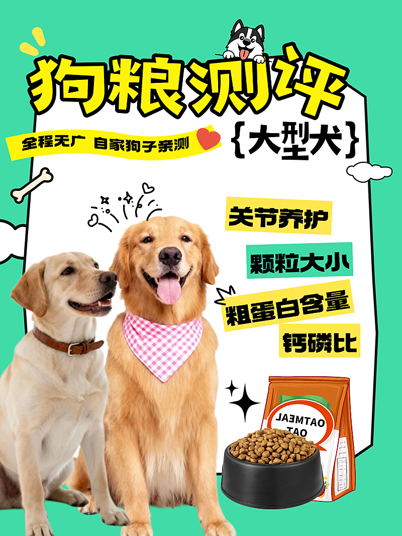 狗粮测评萌宠粮描边卡通趣味元素小红书封面