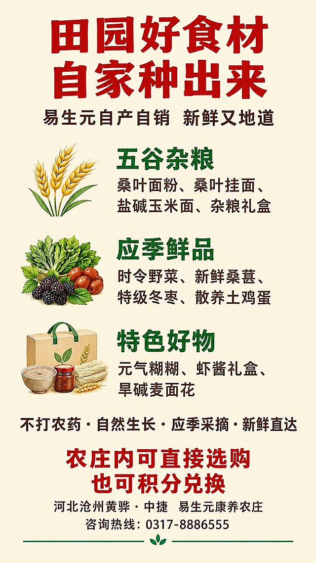 户外灯箱海报，竖版，自产食材产品分类款，纯暖米白色底色，整体干净清爽，突出文字信息。版面从上至下分为四个区域：

1. 顶部标题区（占高15%）：主标题“田园好食材 自家种出来”，加粗大黑字体，最大字号，朱红色，居中对齐，字间距放宽；副标题“易生元自产自销 新鲜又地道”在主标题下方，常规黑体，小一号字，深褐色，居中对齐。

2. 产品分类展示区（占高55%）：分三大类，纵向均匀排布，每类左侧配简约图标（麦穗/蔬菜/礼盒），三类内容整体居中对齐，层级清晰，不拥挤。
第一类：左侧麦穗图标，标题【五谷杂粮】加粗黑体中号字墨绿色，产品“桑叶面粉、桑叶挂面、盐碱玉米面、杂粮礼盒”常规黑体中号字深褐色；
第二类：左侧蔬菜图标，标题【应季鲜品】加粗黑体中号字墨绿色，产品“时令野菜、新鲜桑葚、特级冬枣、散养土鸡蛋”常规黑体中号字深褐色；
第三类：左侧礼盒图标，标题【特色好物】加粗黑体中号字墨绿色，产品“元气糊糊、虾酱礼盒、旱碱麦面花”常规黑体中号字深褐色。

3. 品质承诺区（占高10%）：文字“不打农药·自然生长·应季采摘·新鲜直达”，加粗黑体，中号字，深褐色，词间用间隔点分隔，居中对齐。

4. 底部品牌区（占高20%）：提示语“农庄内可直接选购 也可积分兑换”，加粗黑体，中号字，朱红色，居中对齐；地址“河北沧州黄骅·中捷 易生元康养农庄”，咨询热线“0317-8886555”，常规黑体，偏小字号，深褐色，居中对齐；底部配1条细墨绿色装饰线。

整体风格自然质朴，突出自产食材丰富品类，适合中老年群体，文字清晰易读，排版规整，灯箱海报质感。