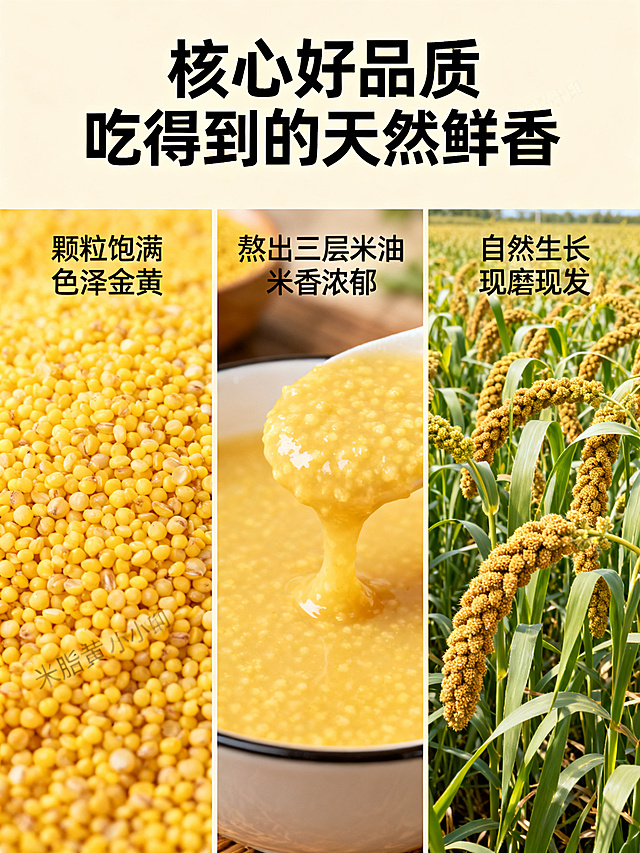 米脂黄小米详情页核心卖点模块，尺寸比例3:4，三栏排版展示三大核心卖点，每个卖点配实拍图：1、颗粒饱满：展示干小米颗粒微距特写，文案：颗粒饱满 色泽金黄；2、米油醇厚：展示熬好的米粥厚实米油，文案：熬出三层米油 米香浓郁；3、天然种植：展示田间小米植株，文案：自然生长 现磨现发。主标题：核心好品质 吃得到的天然鲜香，整体排版清晰，自然暖调，每个卖点图文对应，文字清晰，商业高清摄影。负向提示词：变形，水印，文字错乱，背景杂乱