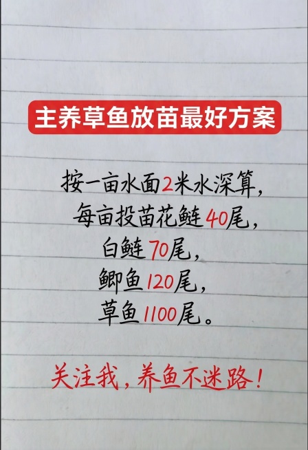 参考原图的横线笔记本背景风格、字体样式，将内容替换为：顶部红色圆角矩形内白色大字写“主养草鱼放苗最好方案”，下方黑色手写字体排版内容：“按一亩水面2米水深算，每亩投苗花鲢40尾，白鲢70尾，鲫鱼120预览效果