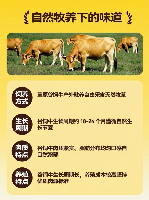 「图片1」「图片1」「图片1」「图片1」「图片1」「图片1」「图片1」「图片1」把这8张图给我改成3：4预览效果