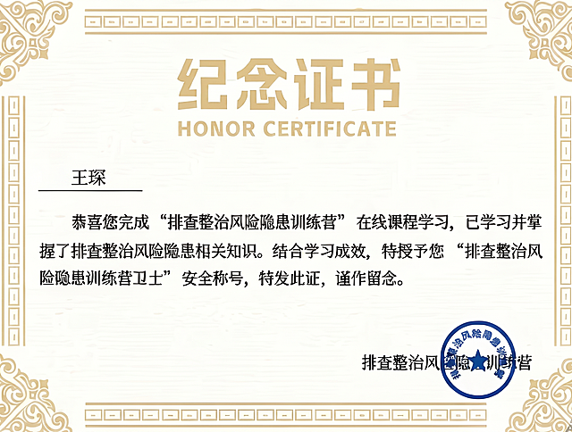 完全不改动原图其他部分，仅将证书上的葛金鑫改为王琛，所有姓名使用和原图一致的细字体，保持字号、字重、颜色完全相同，名字中间不加空格，下划线位置、长度、基线统一，不添加特殊符号