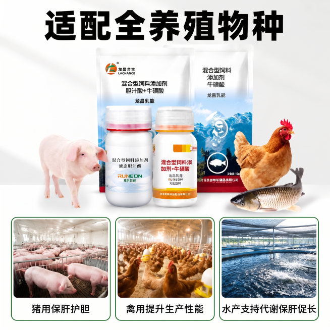 将图片中的文字“水产促进脂肪消化”改为“水产支持代谢保肝促长”预览效果