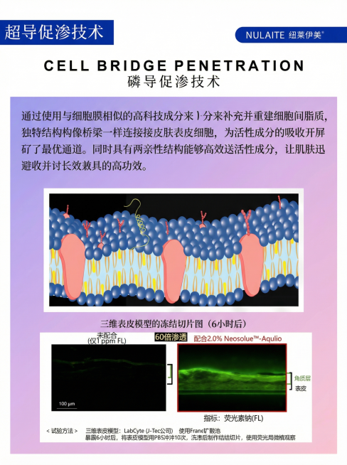 将原图内容制作成一张比例为3:4的海报，保留所有文字和图片信息，排版清晰专业，适配海报尺寸预览效果