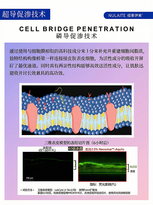 将原图内容制作成一张比例为3:4的海报，保留所有文字和图片信息，排版清晰专业，适配海报尺寸