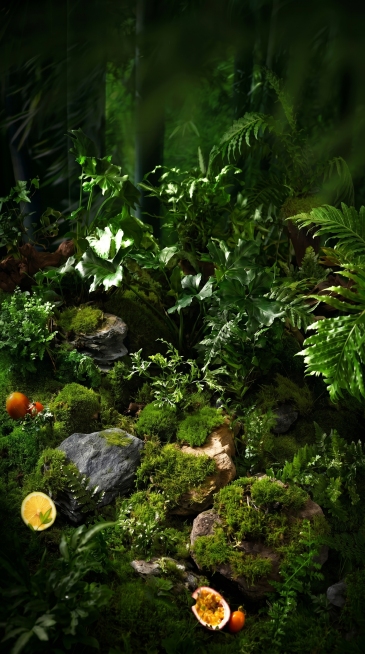保持原图的深绿色森林绿植背景，去除所有菜品、文字和品牌标识，生成一张竖版高清图片，仅保留自然绿植场景预览效果