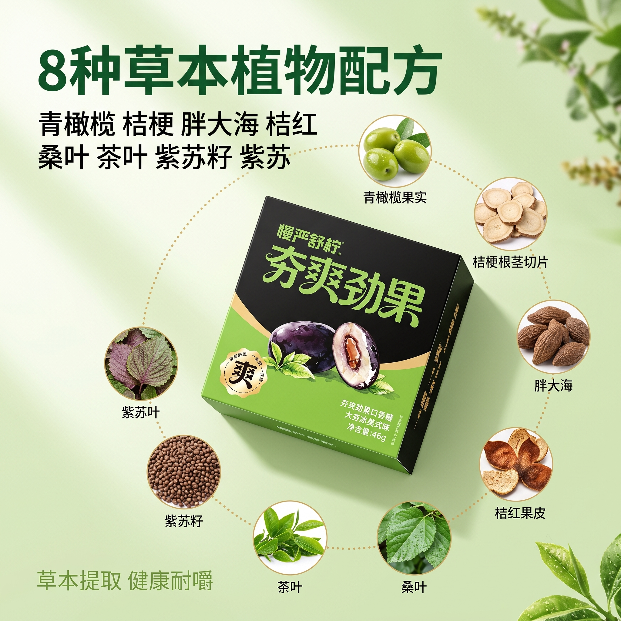 [主图-2] 8种草本植物成分溯源展示图。 [氛围风格] 自然… - 图片创意预览