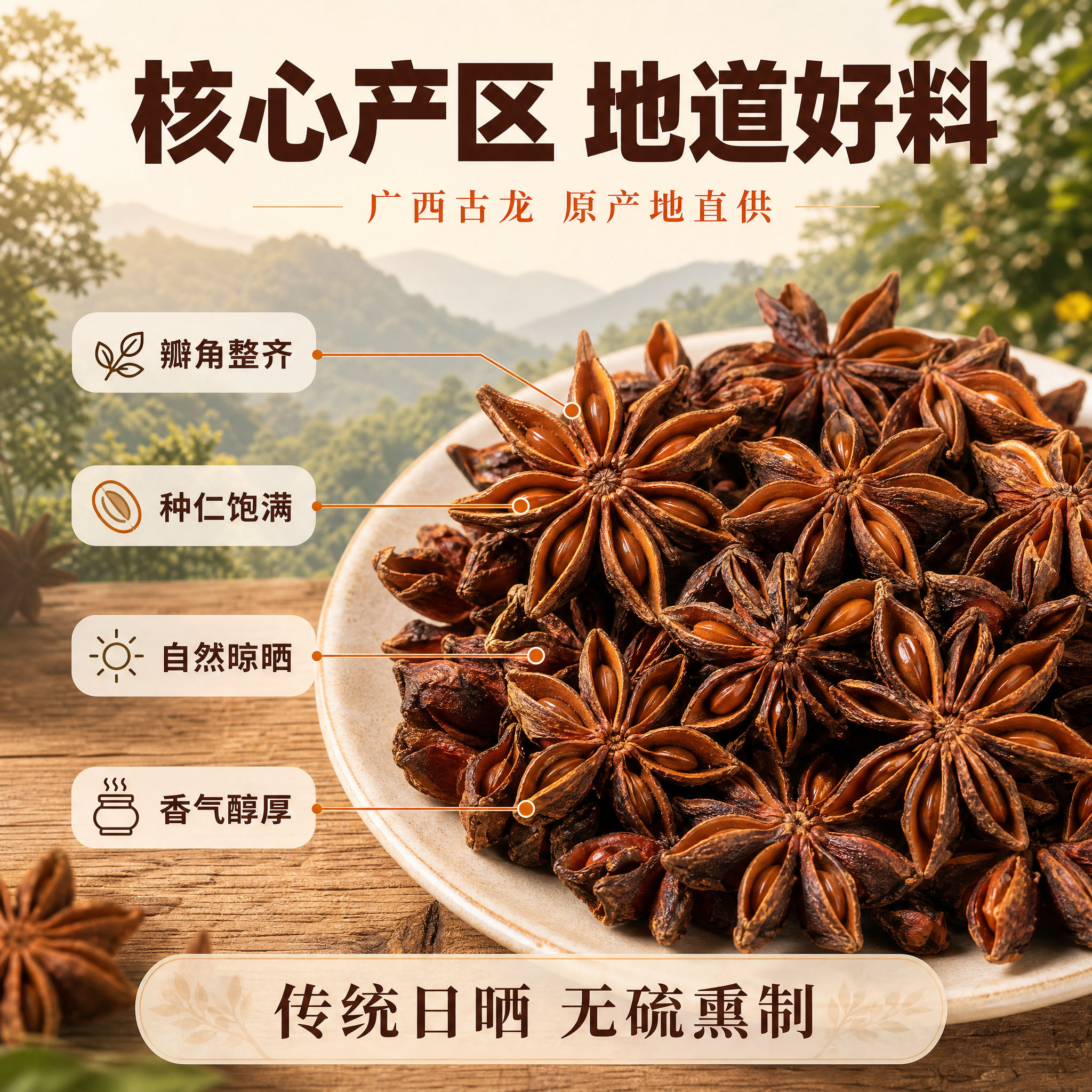 [主图-2] 核心亮点与产地溯源图，展示八角的品质优势和产地信… - 图片创意预览
