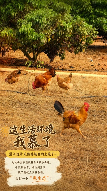 将图2的字体排版和样式完全复制到图1上，保留图1原本的树木背景，不修改背景树木，保持树木自然原始状态，只更换文字的字体和排版，文字内容保持不变，完整复制图2的棕色手写主标题、黄色色块副标题和米白色块正预览效果