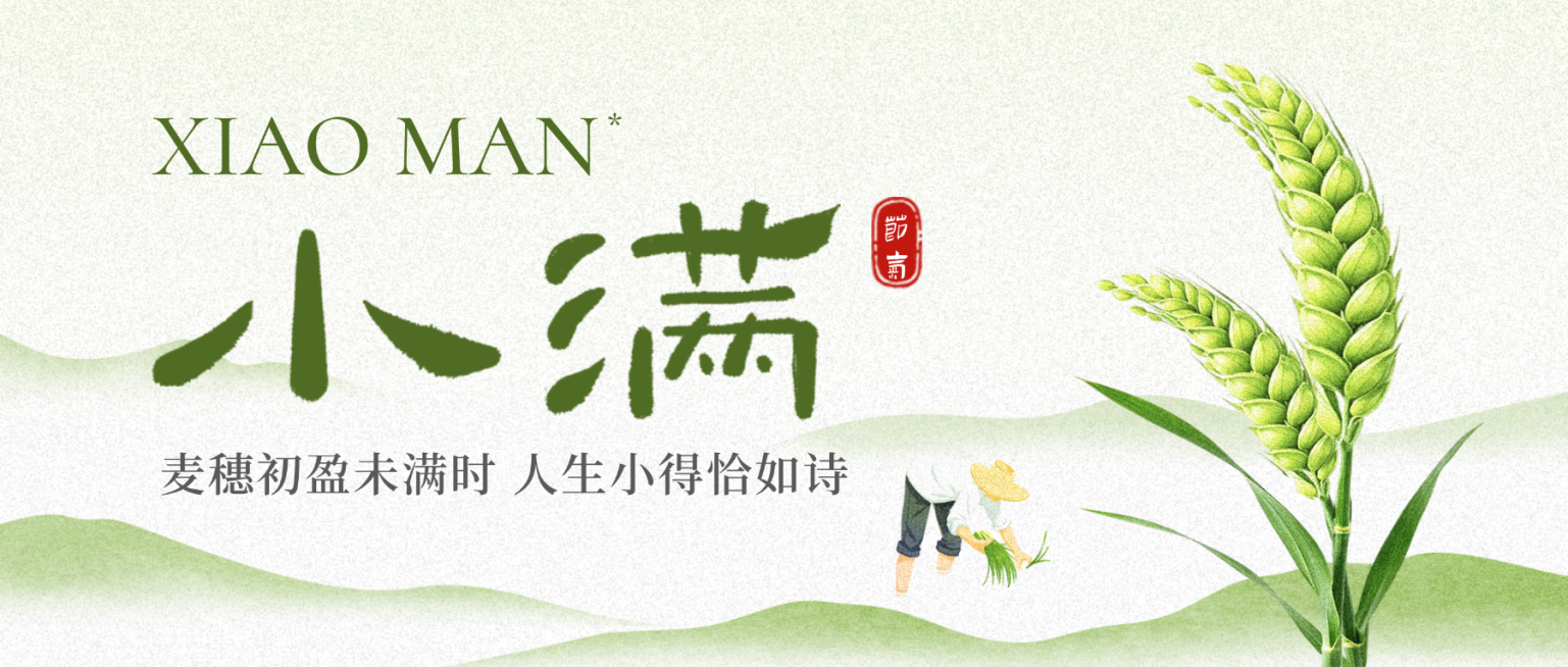 小满节气祝福通用清新感公众号首图预览效果