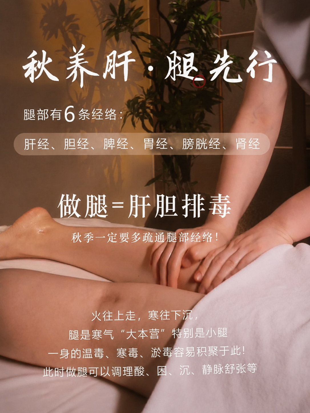 以第一张腿部按摩图为背景，将第二张图的文字排版放到图上，把文字… - 图片创意预览