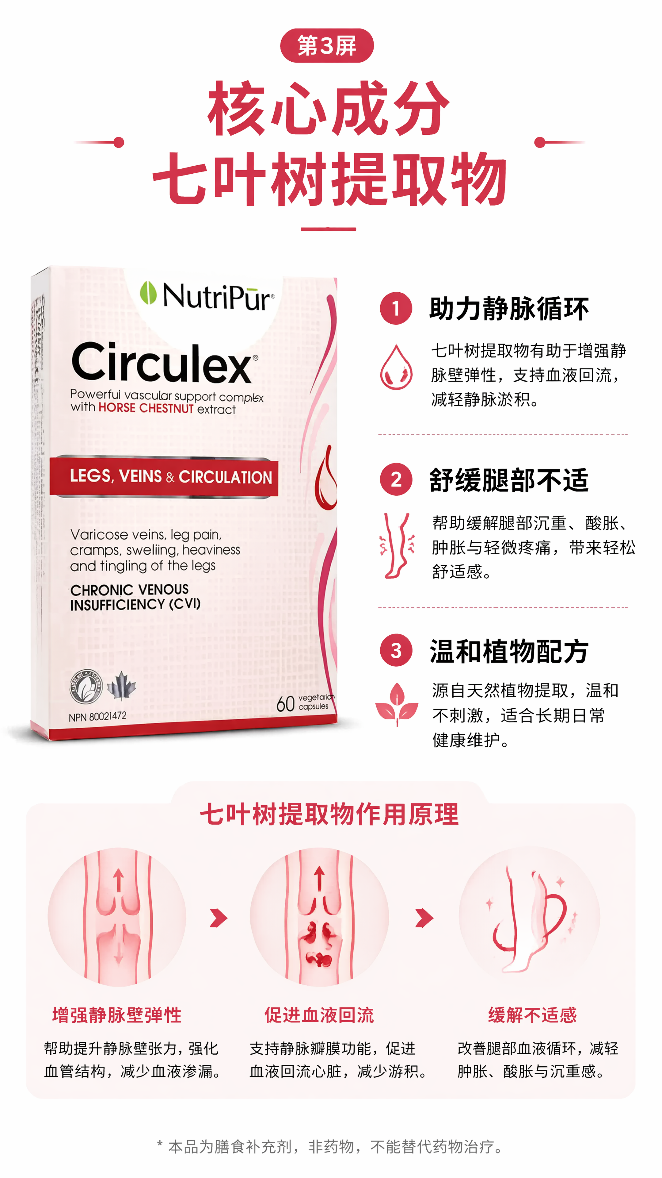 [第3屏] 核心成分解析-介绍七叶树提取物的作用。本屏使用【图… - 图片创意预览