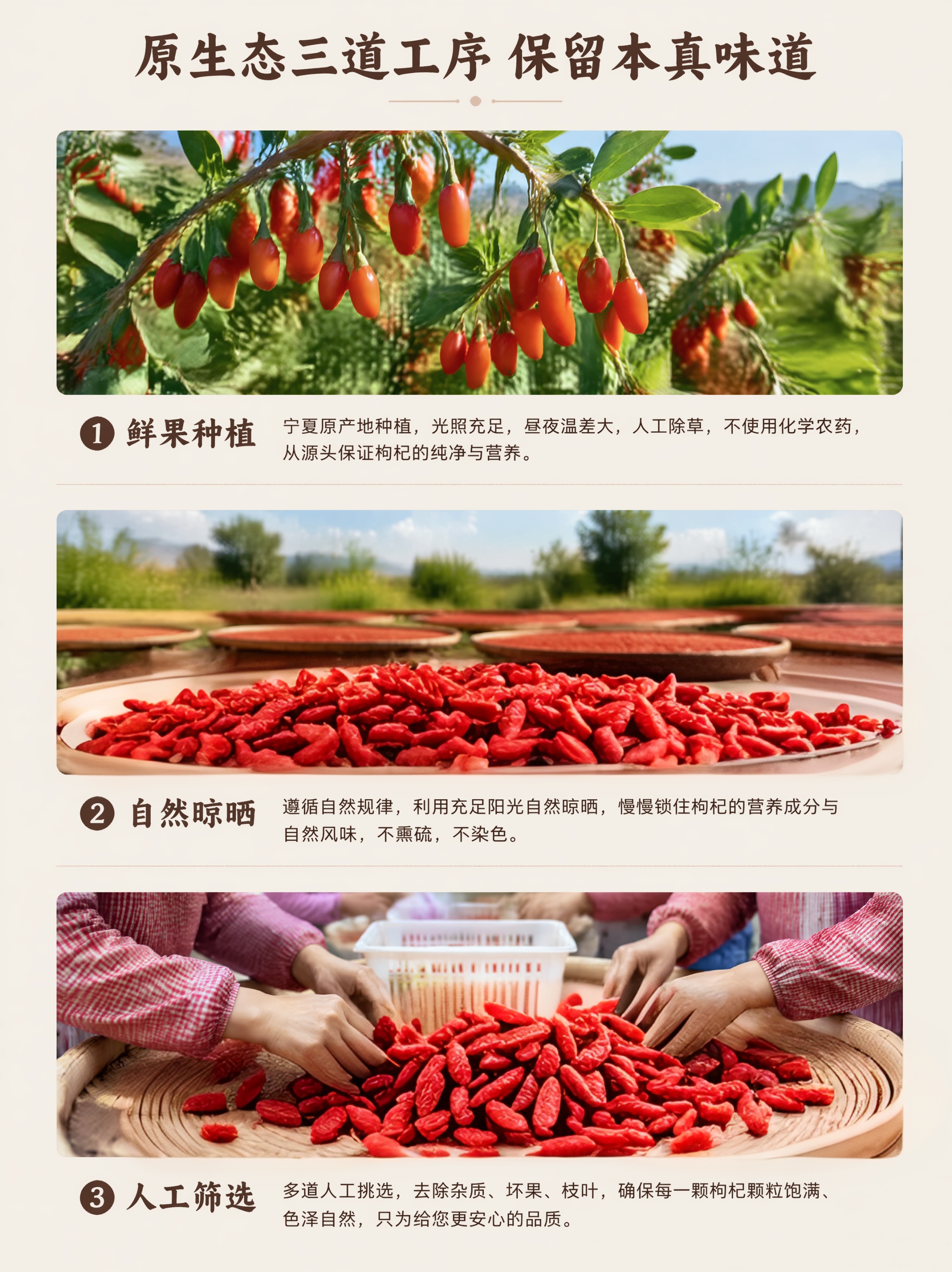 修改枸杞的样子，让它变的更真实 - 图片创意预览