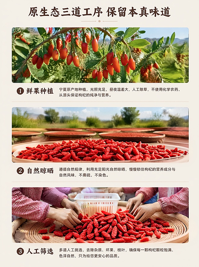 修改枸杞的样子，让它变的更真实