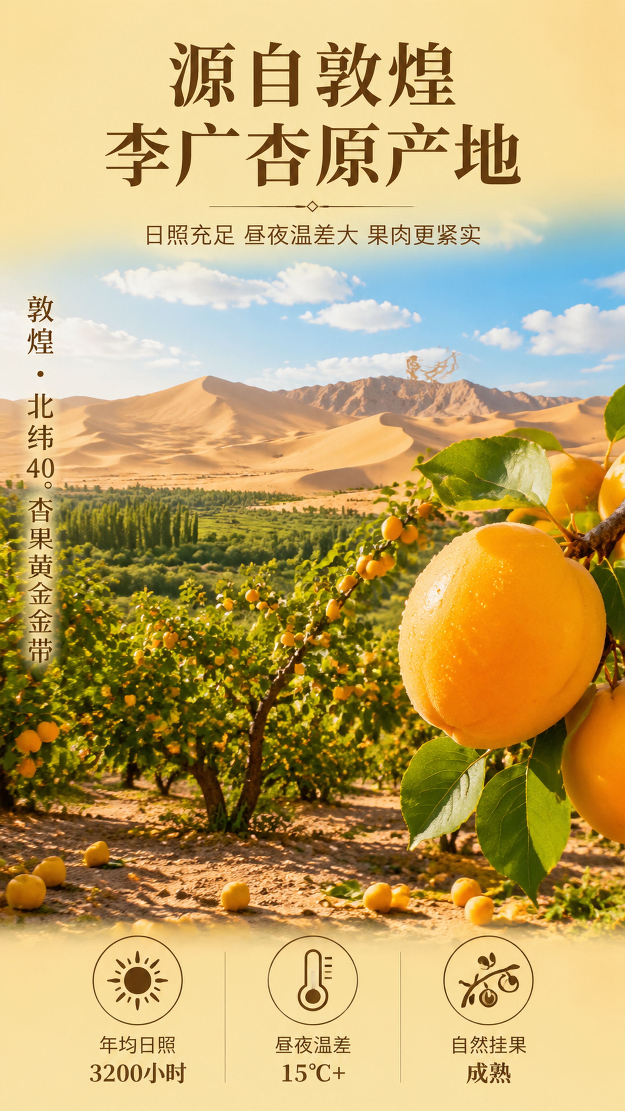 [第2屏] 产地与原料展示-敦煌李广杏产地叙事。本屏为产地专屏… - 图片创意预览