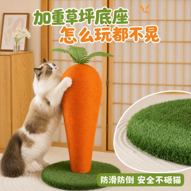 保持图片原有内容不变，修改为1:1的正方形比例预览效果