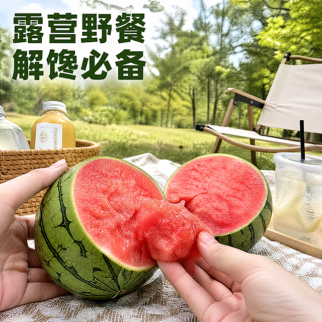 [主图-8] 手撕西瓜露营食用场景图，展示小糖丸西瓜适合多种场景食用。
[氛围风格] 户外露营野餐，轻松愉悦，生活方式代入感强。
[画质] 户外生活风高清摄影，氛围自然真实，色彩舒服。
[元素] 露营野餐垫上，放着切开两半的小糖丸西瓜，一只手正在手撕西瓜，瓜瓤沙红展露，旁边放着露营椅和饮品，背景是草地树林。产品西瓜保持原外观特征不变，还原真实食用场景，主体突出。商品主体占比约65%。
[光影] 下午柔和自然光，氛围慵懒放松，光影自然。
[配色] 自然绿色草地搭配红瓤西瓜，色彩清新舒服，贴近生活。
[视角构图] 第一人称视角抓拍，场景自然有代入感，层次清晰。
[文字版式] 左上角大字文案"露营野餐 解馋必备"，深绿色粗体，不遮挡西瓜主体。
[比例分辨率] 1:1比例，4K分辨率，超高清清晰。
[负向提示词] 变形，水印，文字错乱，产品模糊，背景杂乱，文字遮挡主体