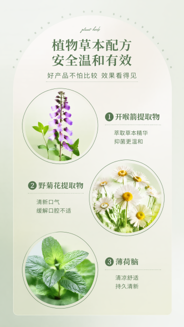 [第3屏] 核心成分展示，展示产品草本植物成分。本屏参考【图4】的版式结构和配色，整体风格和参考图保持一致。
[氛围/风格] 简约科研风，浅绿背景，清晰展示成分原料，自然高级质感。
[元素布局] 顶部预览效果
