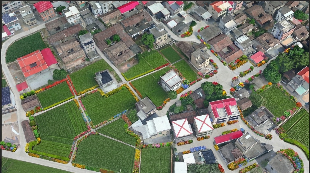 进行花化彩化，对图中的土路进行硬化，建设和美乡村。预览效果