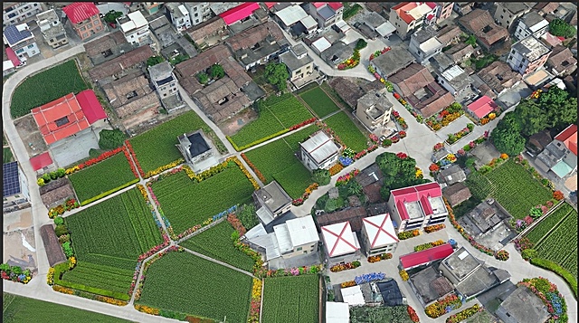 进行花化彩化，对图中的土路进行硬化，建设和美乡村。