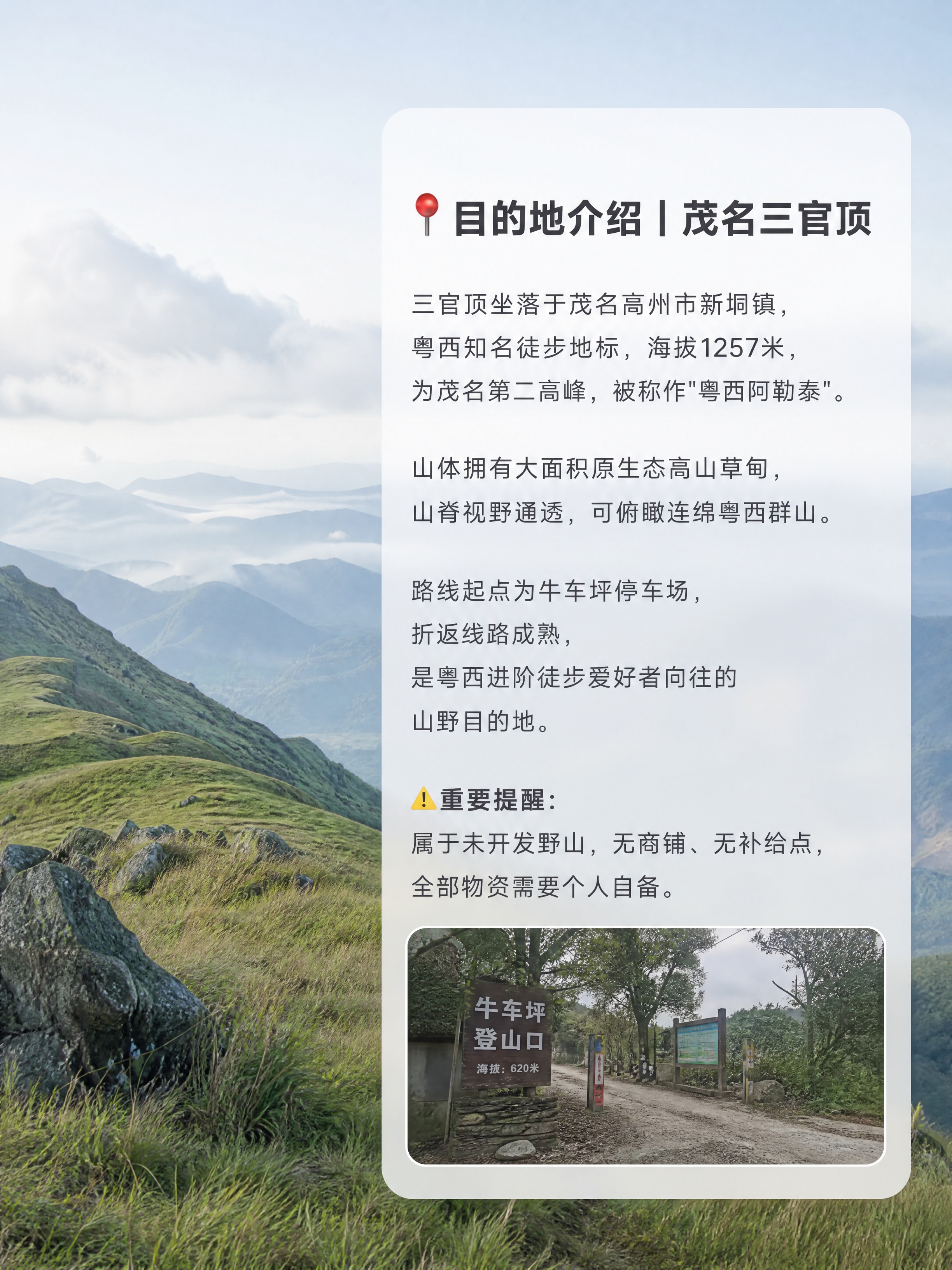3:4竖版1080×1440，写实高清，柔和自然光，画面干净简… - 图片创意预览
