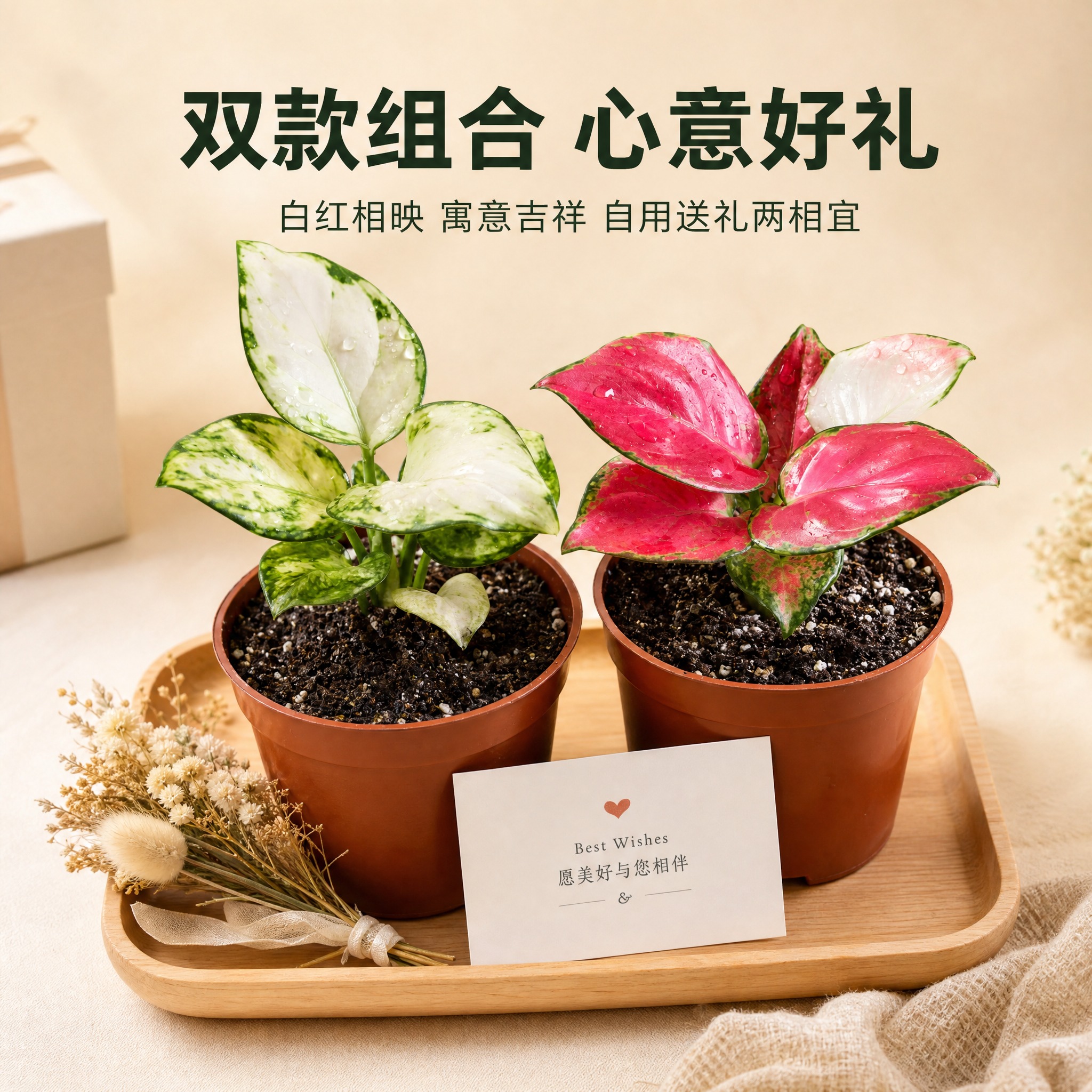 [主图-10] 双款组合送礼推荐图 唯一任务：展示白如意与红宝… - 图片创意预览