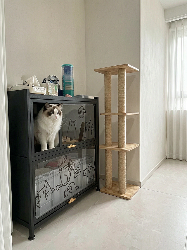 生成有真实家居感的买家秀，房间不要有多余装饰，猫砂柜放在这个房间角落，柜顶上保留原来的猫粮不改变，在柜子旁边增加一个猫爬架，布偶猫依然在猫砂柜的上层，换一个侧视角，真实摄影，自然光，ins风家居