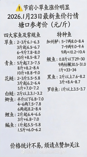 将图片中的张扬聊水产去掉预览效果