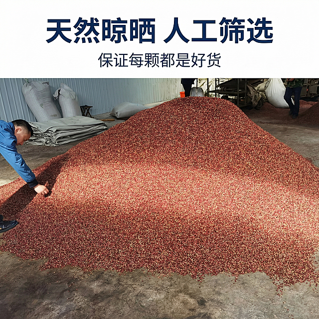 [主图 3] 自然晾晒加工场景主图
[氛围/风格] 真实加工场景，突出天然晾晒纯手工筛选的信任感
[画面元素] 基于原图优化为1:1正方形构图，保留大面积晾晒红花椒主体和工人筛选场景，调整构图让花椒堆主体更突出，提升整体清晰度和红花椒色彩饱和度，让红色花椒颗粒更醒目，背景加工车间保留真实感不抢主体
[配色色系] 主色调：红花椒红棕色；辅助色：水泥地面灰色，工人衣物蓝深色，对比自然真实
[视角构图] 中心主体构图，红花椒大堆占据画面中心，自然真实展示加工过程
[文字版式] 顶部主标题“天然晾晒 人工筛选”，下方副标题“保证每颗都是好货”，文字放在画面上方留白处，不遮挡花椒主体，字体简洁深色，增强信任感
[比例分辨率] 1:1比例，2k分辨率。
