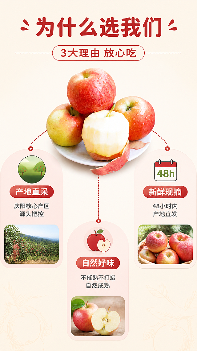 [第4张] 详情页核心卖点拆解-樱桃小苹果3大核心理由。本张使用【图1】作为商品主体，苹果置于中心。
[氛围/风格] 清新信息图风格，干净整洁，商业设计感，暖色调。
[元素布局] 画面中央偏上摆放3-4颗樱桃小苹果堆叠，占比约40%，颜色形态与输入图一致；苹果周围向外引出3条引线，分别连接3个卖点区域；背景为浅米色渐变，底部有淡淡的苹果轮廓剪影；每个卖点区域配小图标和小图示意；整体层次分明。
[光影质感] 顶部均匀柔光，苹果下方柔和投影，整体明亮干净，图标和文字清晰锐利。
[配色色系] 全局底色 #FFF8EE（米杏色）；主色苹果红#C0392B；辅助色深绿#2E7D32、暖黄；点缀色浅粉背景块。
[视角构图] 正面平视，中心产品向外辐射卖点，阅读动线顶部标题 → 中心苹果 → 三方向卖点。
[文字版式] 顶部大标题「为什么选我们」，圆润黑体，字色深红#C0392B；副标题「3大理由 放心吃」；左侧引线卖点「产地直采」配果园小图标，说明「庆阳核心产区 源头把控」；右侧引线卖点「新鲜现摘」配日历小图标，说明「48小时内 产地直发」；下方引线卖点「自然好味」配苹果小图标，说明「不催熟不打蜡 自然成熟」；每个卖点标题加粗，说明文字稍小，字色深灰。
[比例分辨率] 9:16竖版比例，4K分辨率，文字清晰可辨，高清画质。
[负向提示词] 苹果变形，颜色偏差，引线错乱，水印，文字模糊，排版杂乱，文字过小。