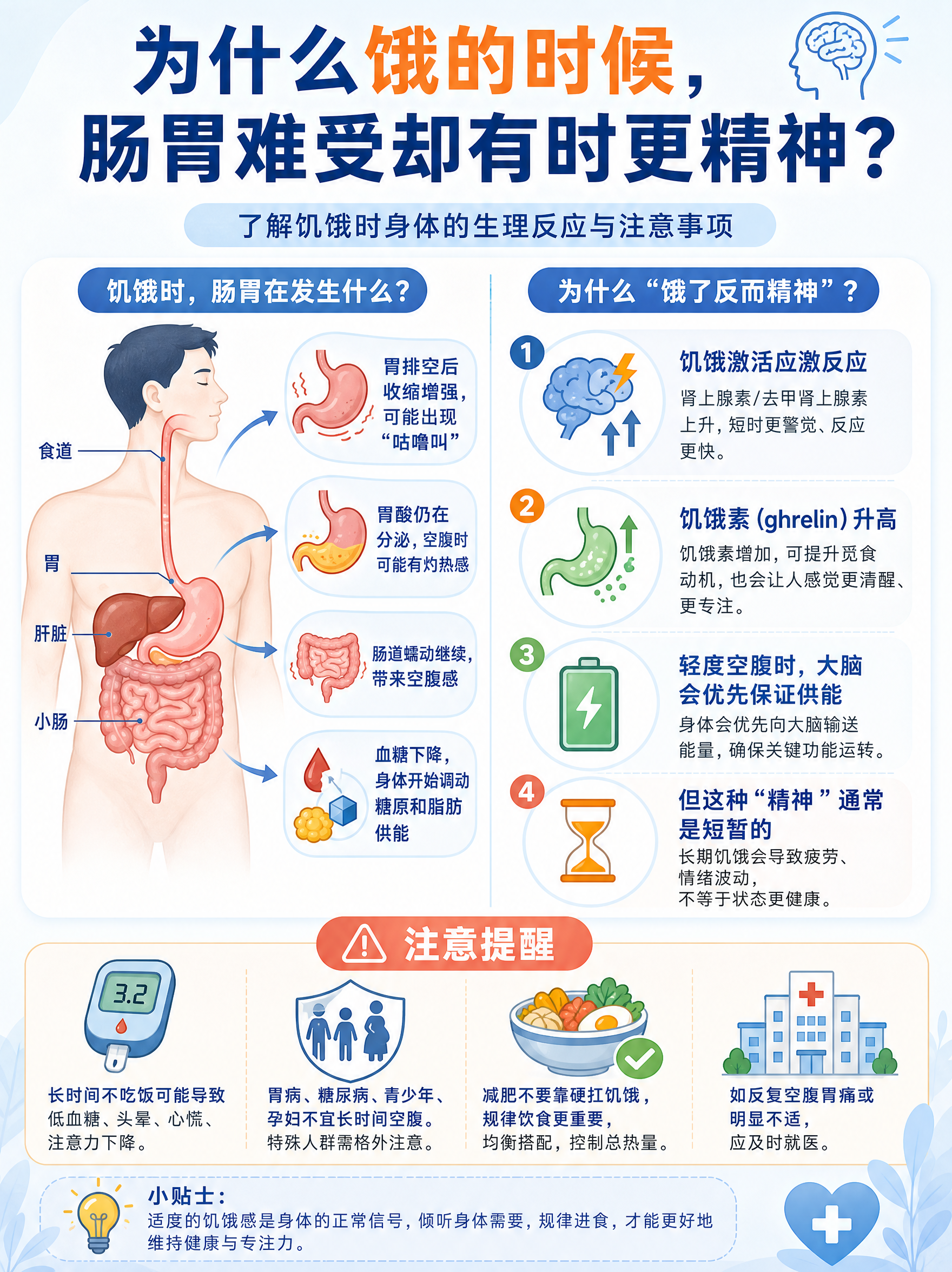 科普信息图，展示挨饿时身体肠胃和精神变化的原理，包含饥饿时肠胃… - 图片创意预览