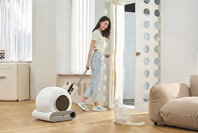 模特眼睛看向猫