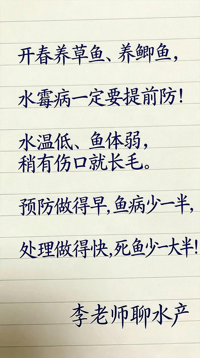 参照图片字体和颜色，替换内容为："开春养草鱼、养鲫鱼， 水霉病一定要提前防！水温低、鱼体弱， 稍有伤口就长毛。预防做得早，鱼病少一半， 处理做得快，死鱼少一大半！李老师聊水产"，排版布局合理，一字不差