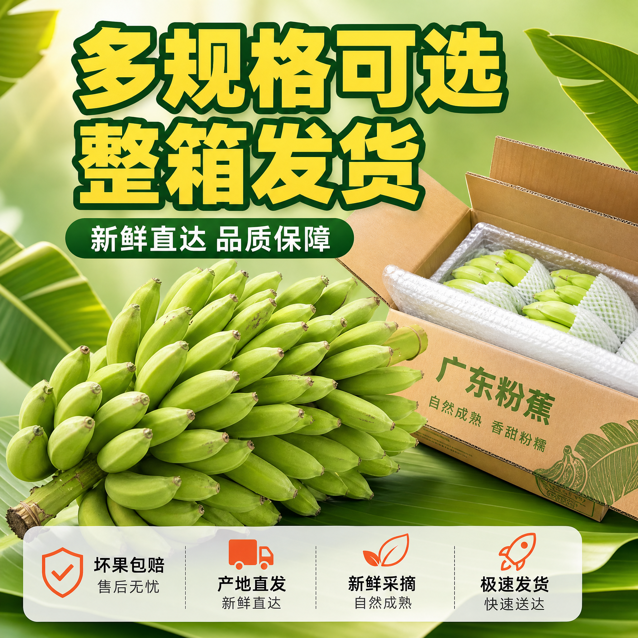 [主图-5] 广东粉蕉规格与服务承诺图，打消顾虑促进下单。 [… - 图片创意预览