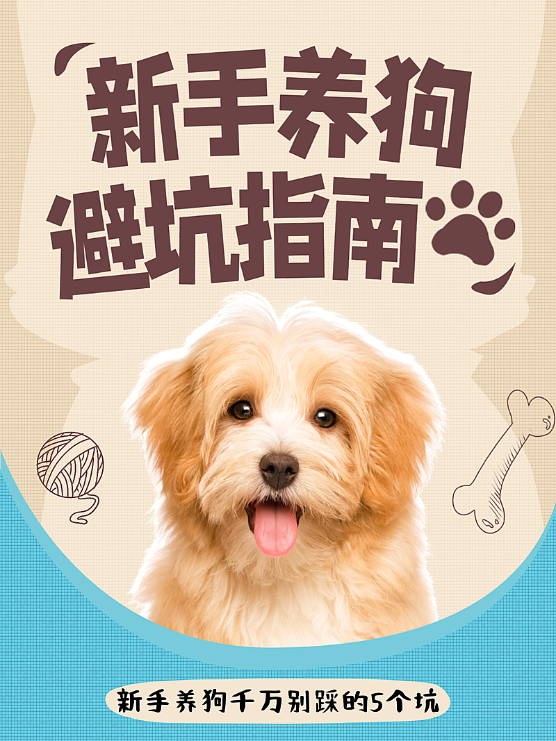 宠物新手指南知识科普分享卡通风小红书封面
